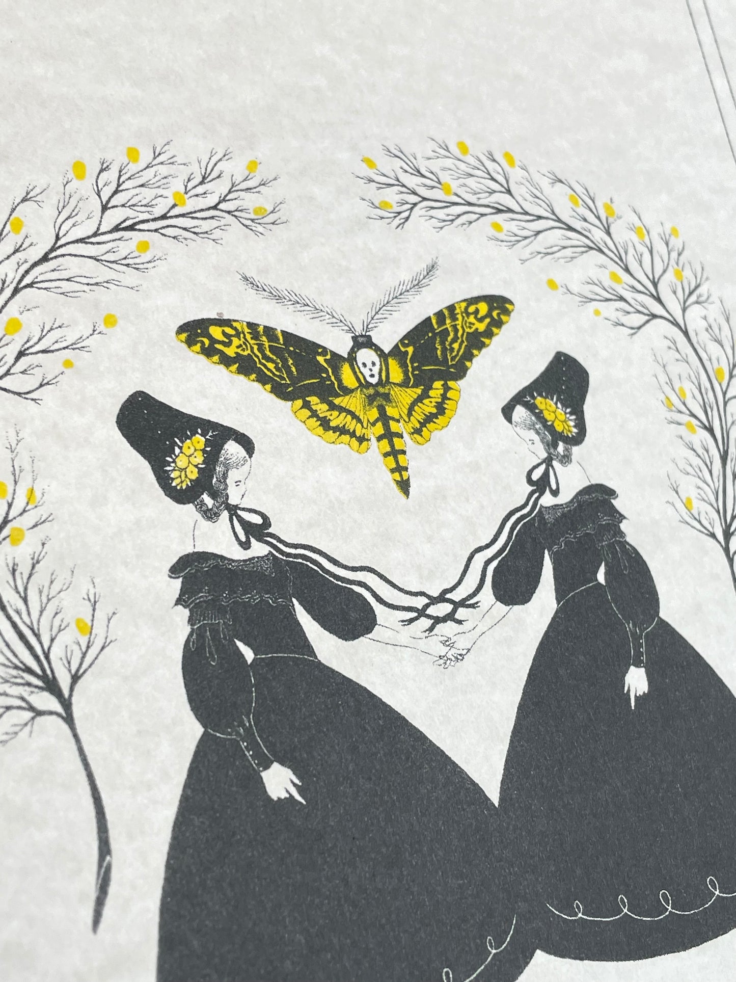 Mirror Moth