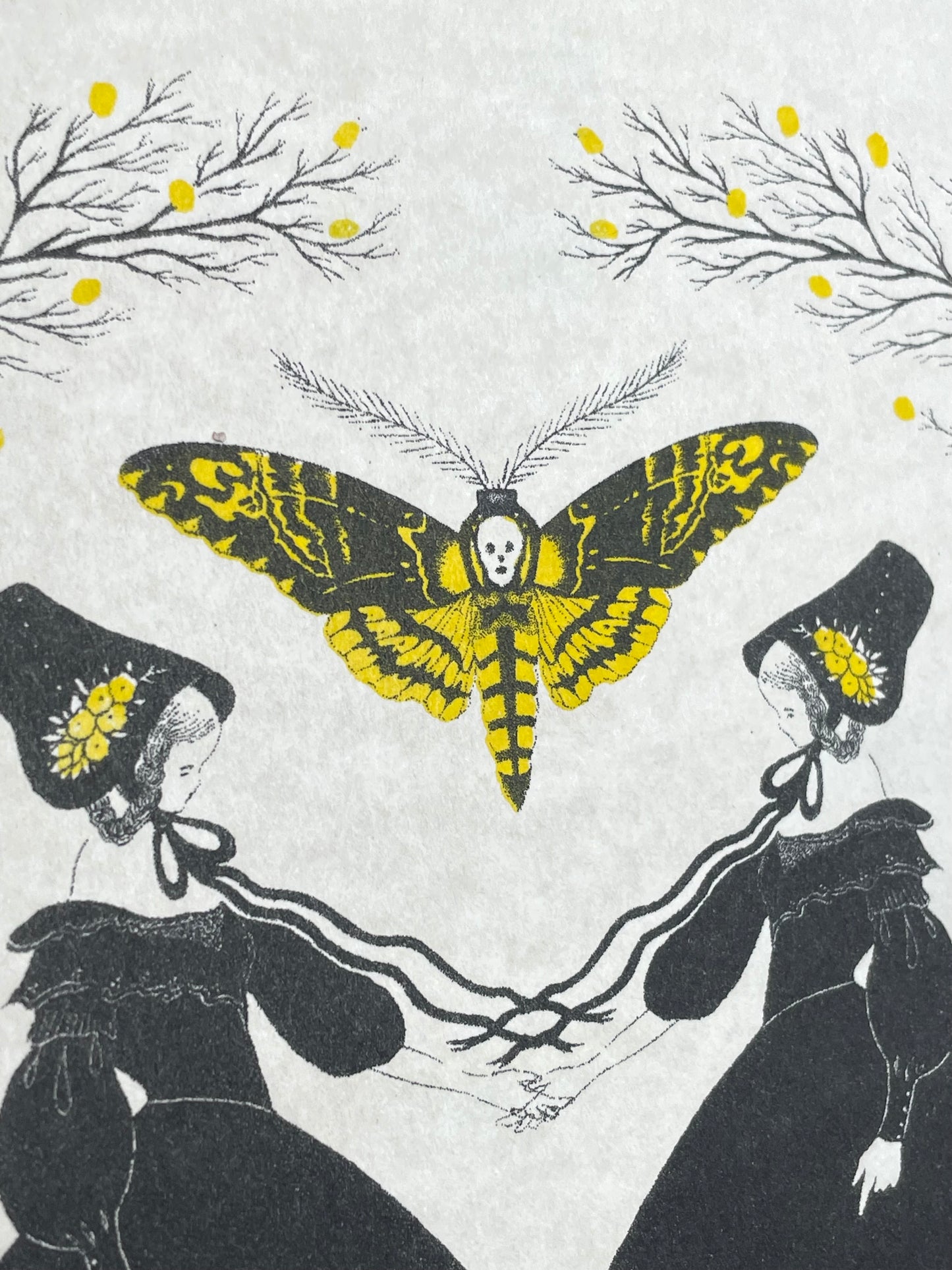 Mirror Moth
